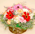 日本,太阳花+绿叶 花篮