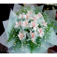 花惠兰,雪兰花