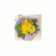 日本,黄色波斯菊花束
