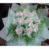 花惠兰,雪兰花