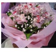 花惠兰,彩蝶飞