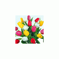 日本,郁金香花束