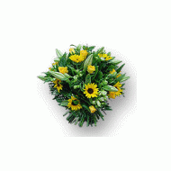 荷兰,祝福