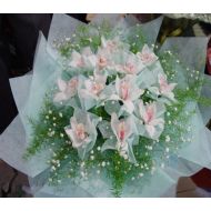 花惠兰,雪兰花