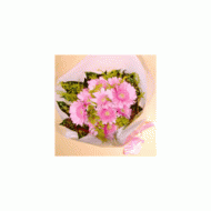 日本,粉红波斯菊花束